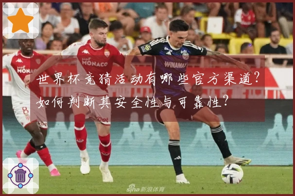 世界杯竞猜活动有哪些官方渠道？如何判断其安全性与可靠性？
