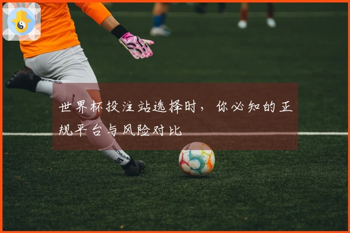 世界杯投注站选择时,你必知的正规平台与风险对比