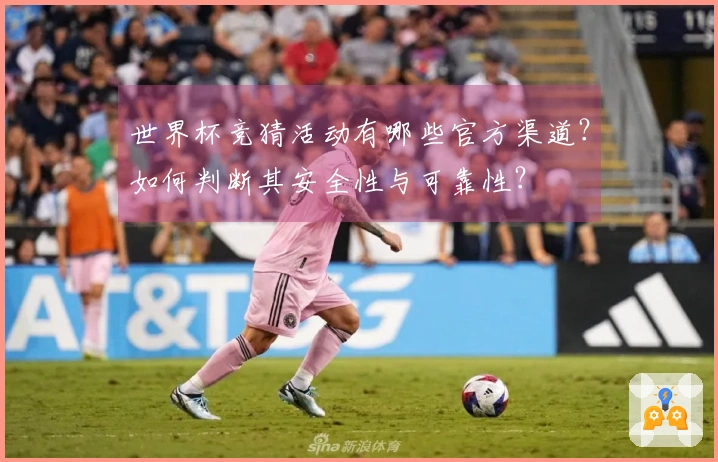 世界杯竞猜活动有哪些官方渠道？如何判断其安全性与可靠性？